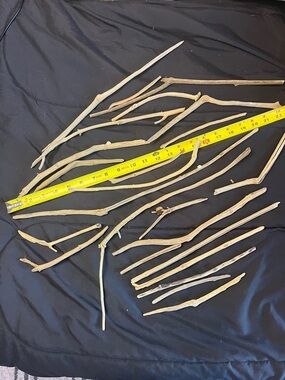 Natural Driftwood found at the Potomac River